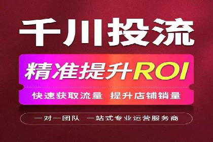 百度竞价广告运营全解析：成功案例揭秘